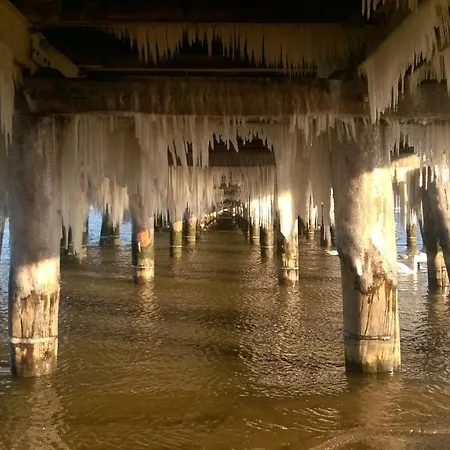 דירה Apartament Z Widokiem Na Las *