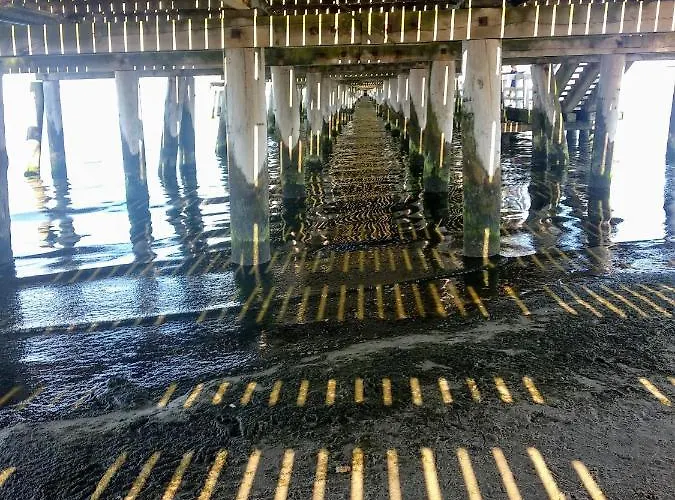 Apartament Z Widokiem Na Las * Sopot